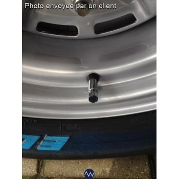 MSA 4Pcs 100Mm Extension De Valve De Pneu Adaptateur De Roue Car Truck Van - Auto